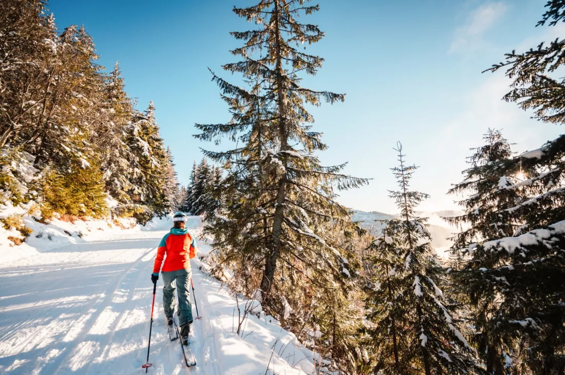 Ski tourer climbing uphill through a snowy forest in the Tatra mountains